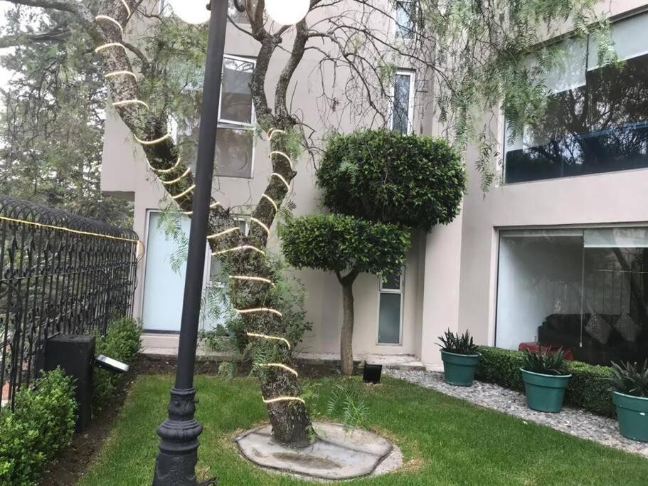 Hermoso Departamento En Bosques De Las Lomas Dos Habitaciones Mexiko-Stadt Exterior foto